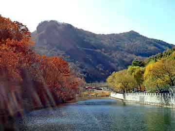 天天彩好彩天天免费，雅迪燃油助力车报价